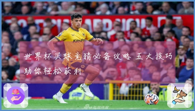 世界杯买球竞猜必备攻略 五大技巧助你轻松获利