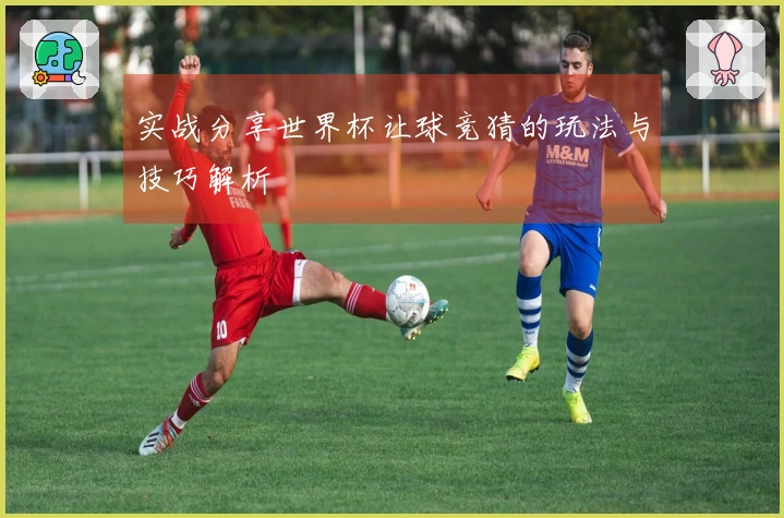 实战分享世界杯让球竞猜的玩法与技巧解析