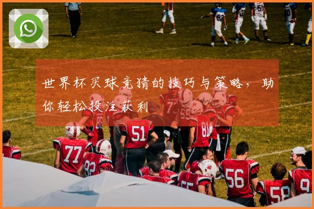 世界杯买球竞猜的技巧与策略，助你轻松投注获利