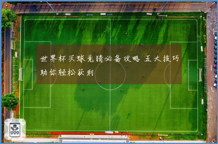 世界杯买球竞猜必备攻略 五大技巧助你轻松获利