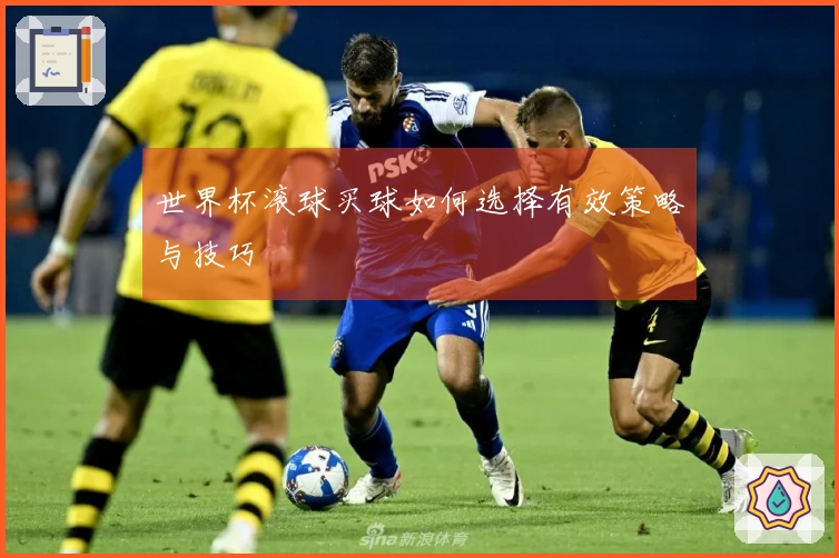 世界杯滚球买球如何选择有效策略与技巧