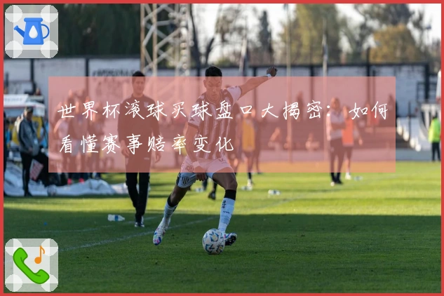 世界杯滚球买球盘口大揭密：如何看懂赛事赔率变化