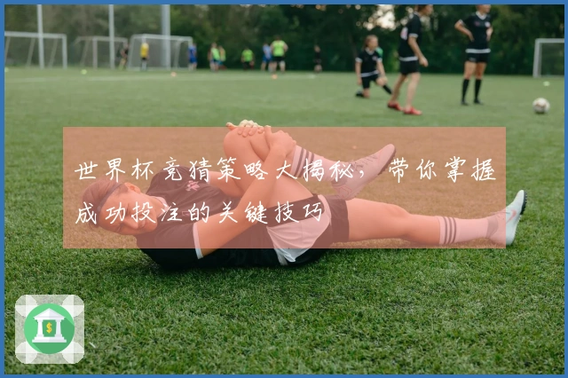 世界杯竞猜策略大揭秘，带你掌握成功投注的关键技巧