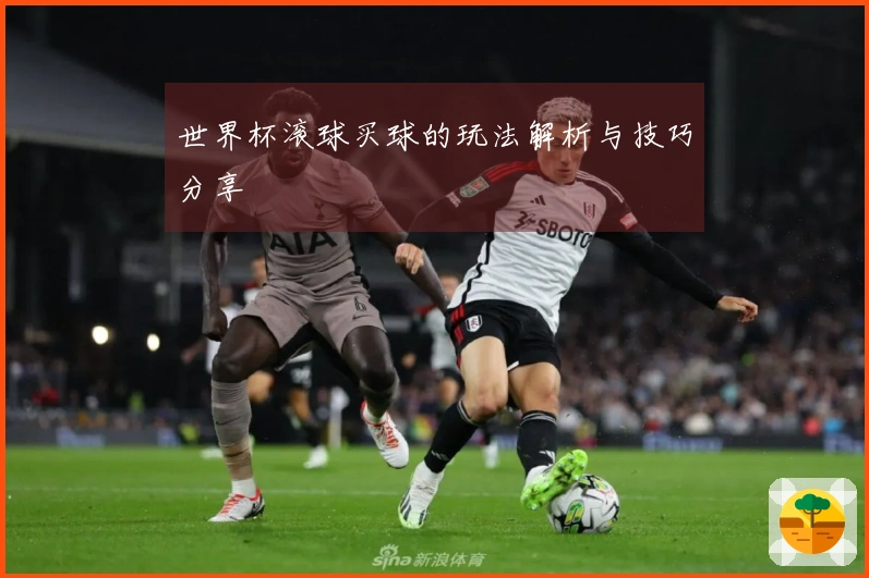 世界杯滚球买球的玩法解析与技巧分享